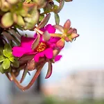 Szálloda Buongiorno! Premium 2*