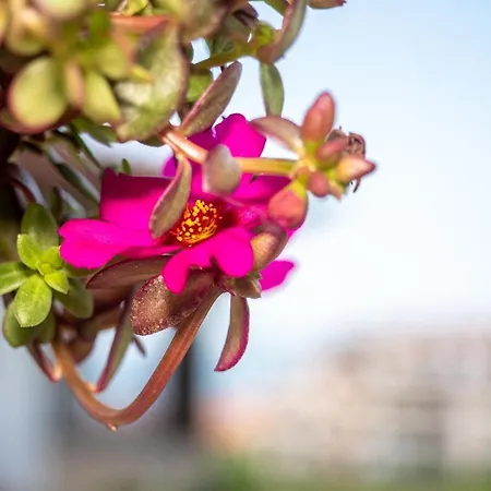 Hotel Buongiorno! Premium 2*